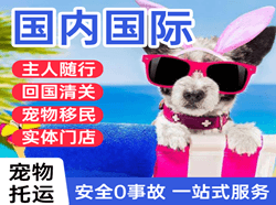 吐鲁番空运国际宠物托运 【国